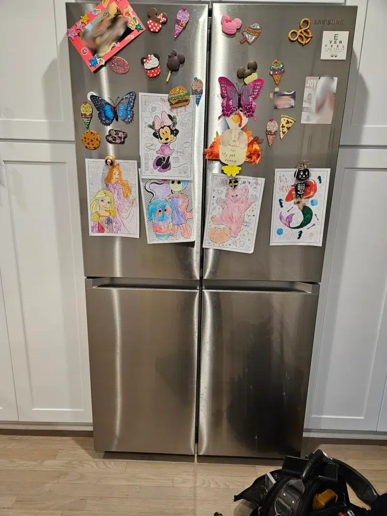 Samsung Refrigerator Repair service in Carol Stream IL